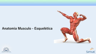 Anatomia Musculo - Esquelética
 