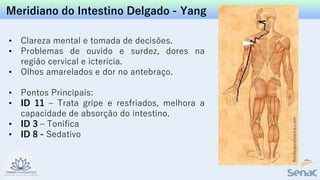 Meridiano do Intestino Delgado - Yang
• Clareza mental e tomada de decisões.
• Problemas de ouvido e surdez, dores na
região cervical e icterícia.
• Olhos amarelados e dor no antebraço.
• Pontos Principais:
• ID 11 – Trata gripe e resfriados, melhora a
capacidade de absorção do intestino.
• ID 3 – Tonifica
• ID 8 - Sedativo
 