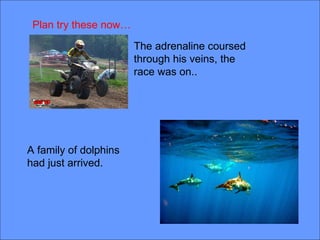 Plan try these now…
                       The adrenaline coursed
                       through his veins, the
                       race was on..




A family of dolphins
had just arrived.
 