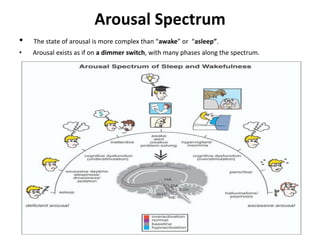 Quick reminder of sleep and wakefulness spectrum | PPTX