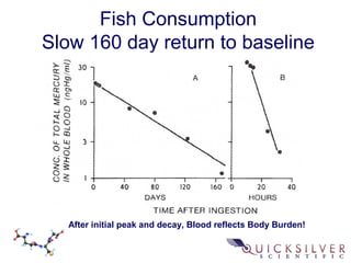 Fish Consumption
Slow 160 day return to baseline
After initial peak and decay, Blood reflects Body Burden!
 
