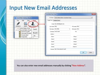 Input New Email Addresses 
You can also enter new email addresses manually by clicking “New Address”. 
 