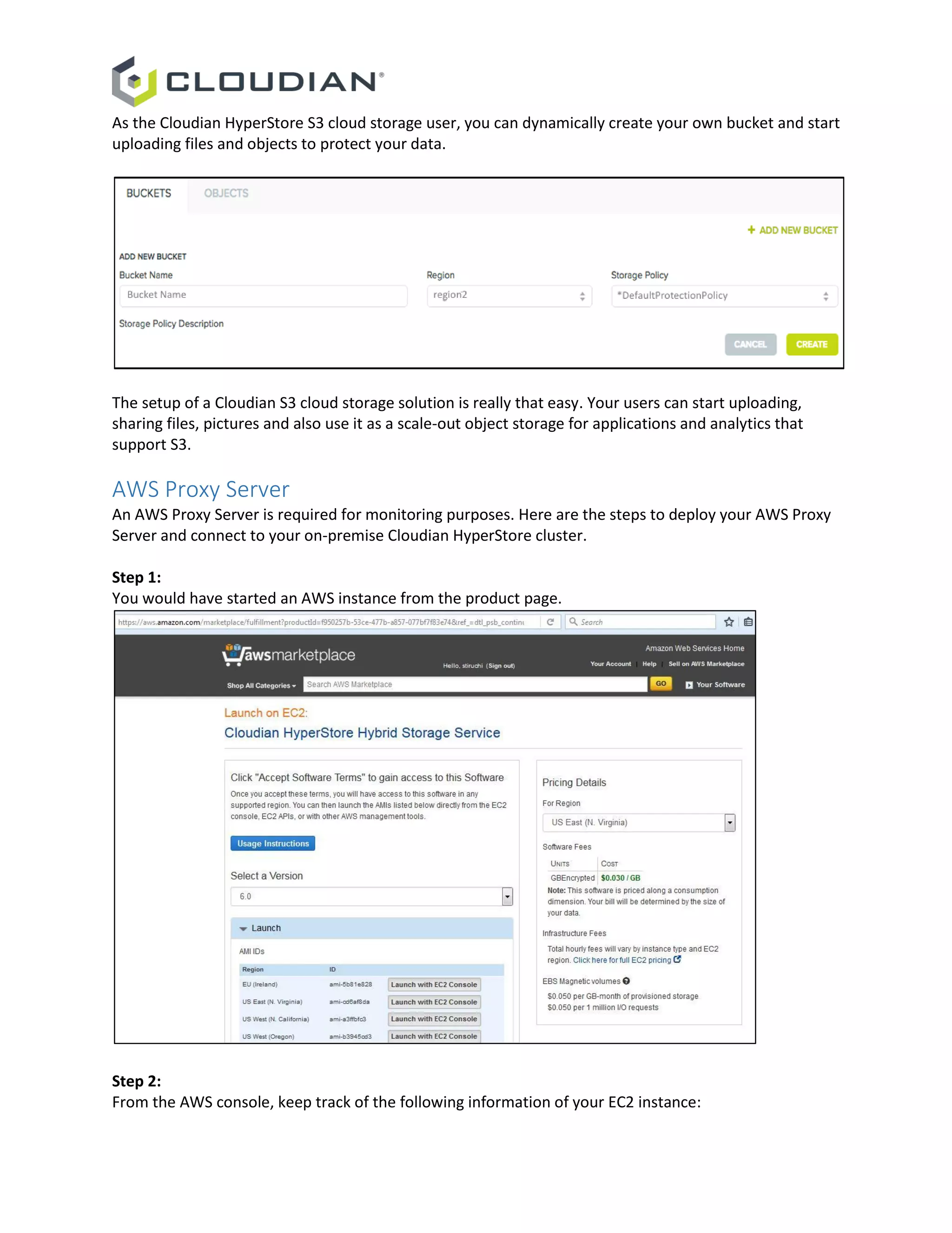 As the Cloudian HyperStore S3 cloud storage user, you can dynamically create your own bucket and start
uploading files and objects to protect your data.
The setup of a Cloudian S3 cloud storage solution is really that easy. Your users can start uploading,
sharing files, pictures and also use it as a scale-out object storage for applications and analytics that
support S3.
AWS Proxy Server
An AWS Proxy Server is required for monitoring purposes. Here are the steps to deploy your AWS Proxy
Server and connect to your on-premise Cloudian HyperStore cluster.
Step 1:
You would have started an AWS instance from the product page.
Step 2:
From the AWS console, keep track of the following information of your EC2 instance:
 