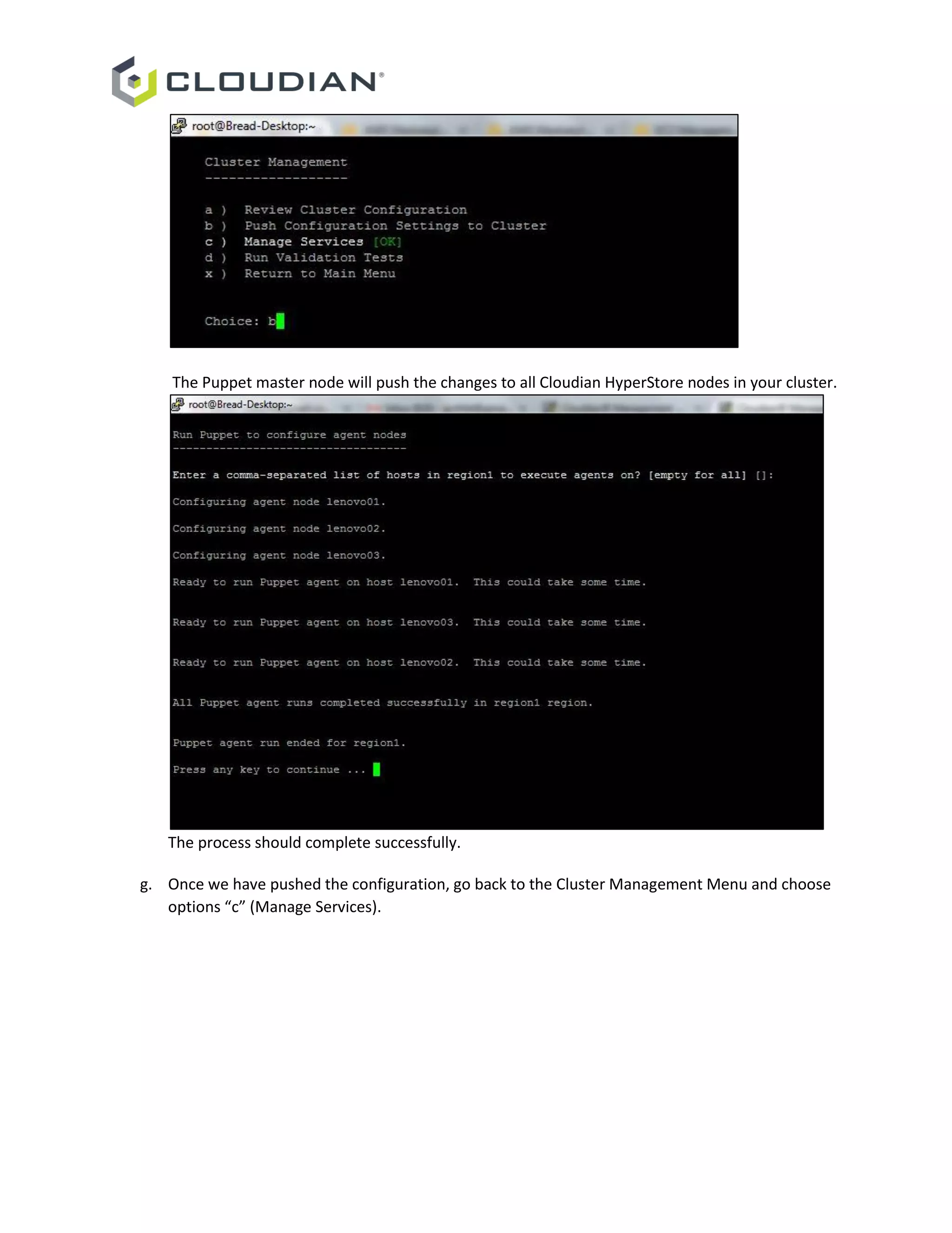 The Puppet master node will push the changes to all Cloudian HyperStore nodes in your cluster.
The process should complete successfully.
g. Once we have pushed the configuration, go back to the Cluster Management Menu and choose
options “c” (Manage Services).
 