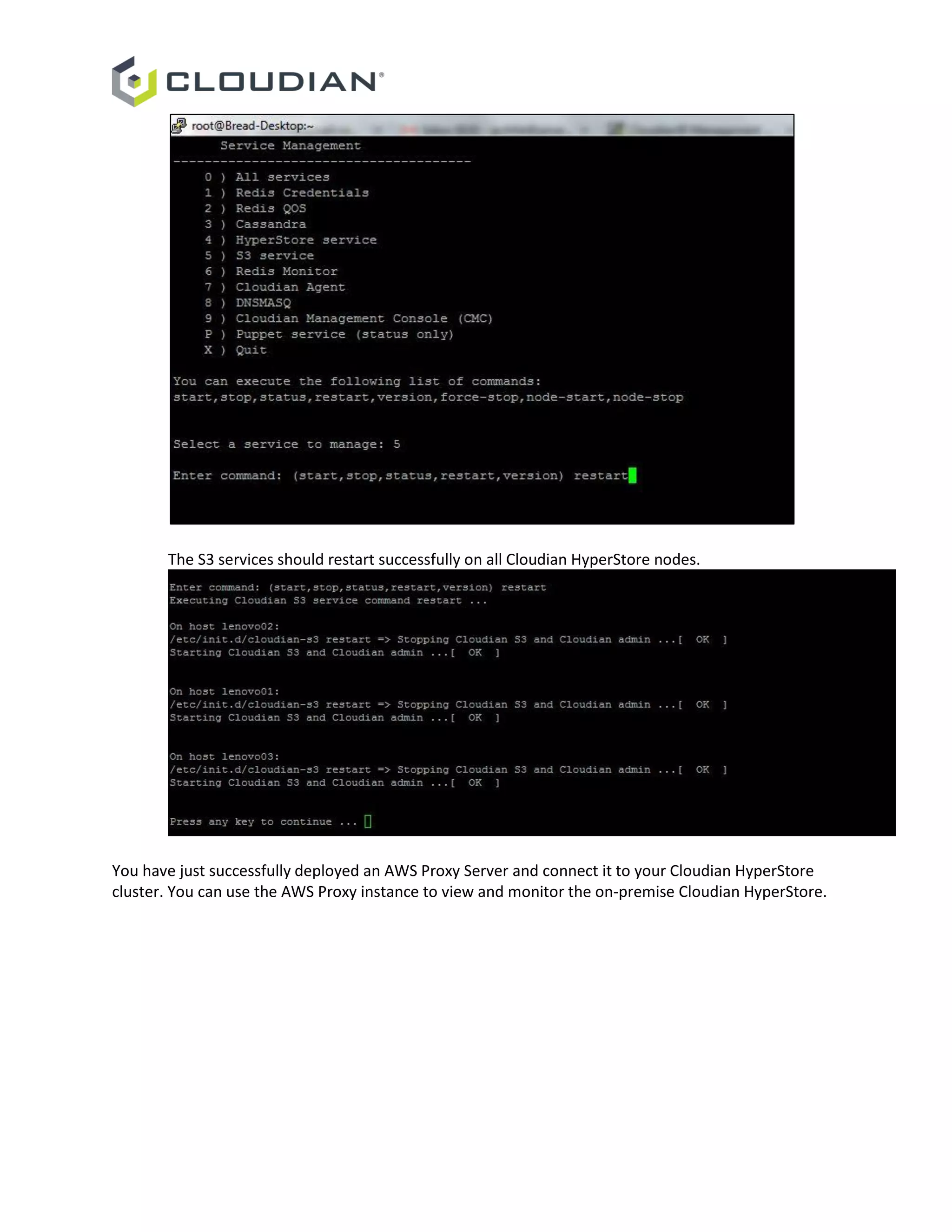 The S3 services should restart successfully on all Cloudian HyperStore nodes.
You have just successfully deployed an AWS Proxy Server and connect it to your Cloudian HyperStore
cluster. You can use the AWS Proxy instance to view and monitor the on-premise Cloudian HyperStore.
 