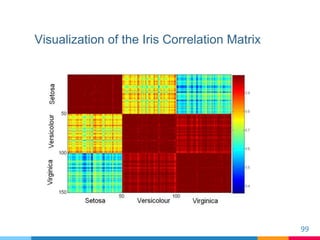 Visualization of the Iris Correlation Matrix
99
 
