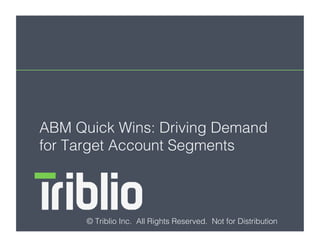 ABM Quick Wins: Driving Demand
for Target Account Segments !
© Triblio Inc. All Rights Reserved. Not for Distribution!
 