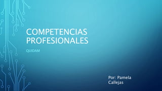 COMPETENCIAS
PROFESIONALES
QUIDAM
Por: Pamela
Callejas
 