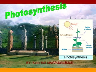 Photosynthesis BY: Katie Bell  (aka Victoria Sobol) 