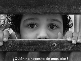 ¿Quién no necesita de unas alas? 