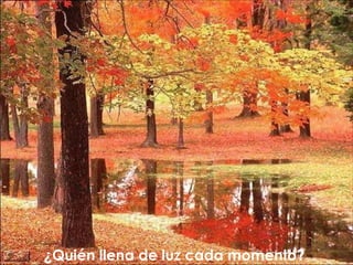 ¿Quién llena de luz cada momento?  