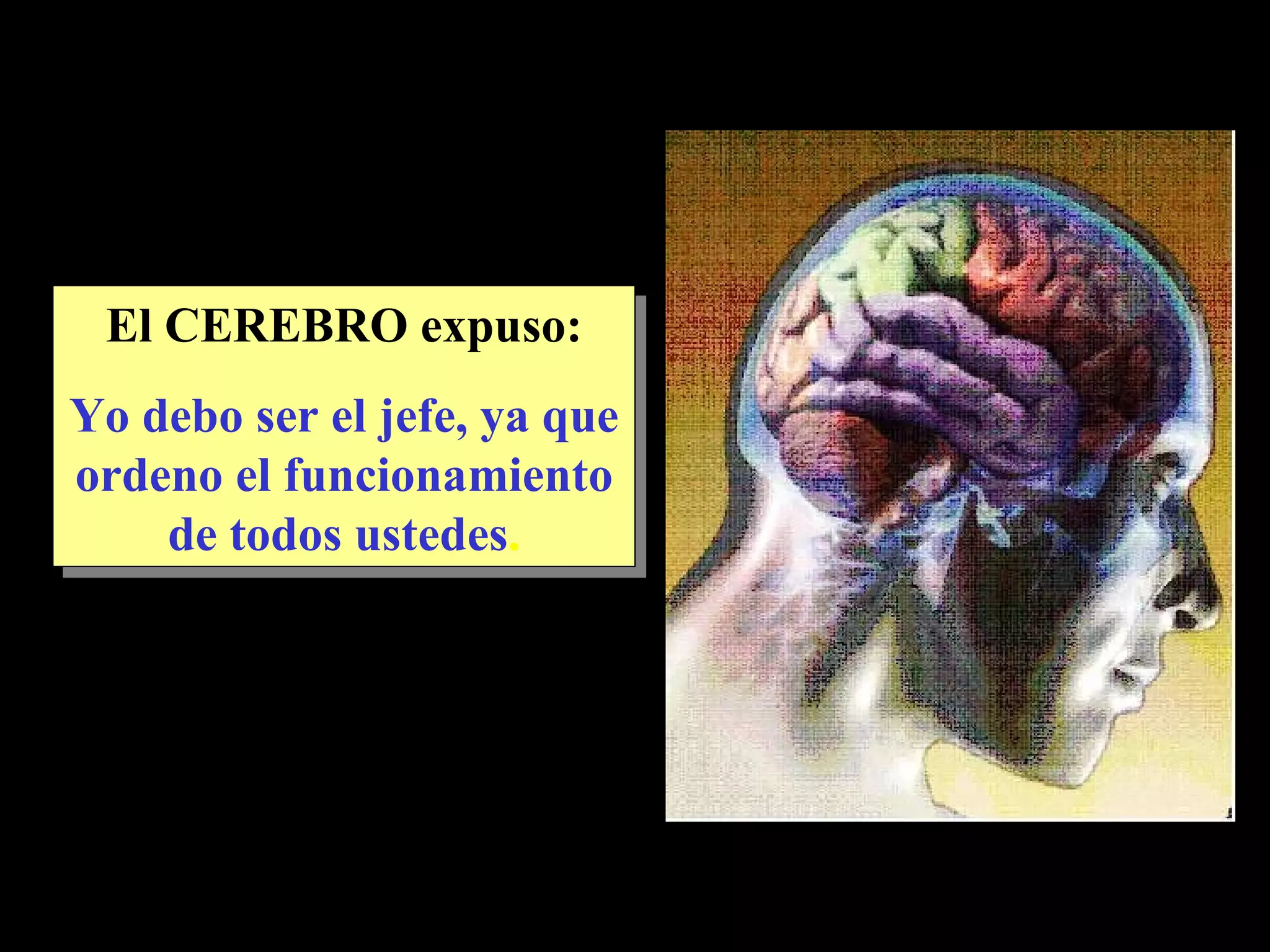 El CEREBRO expuso: Yo debo ser el jefe, ya que ordeno el funcionamiento de todos ustedes .
