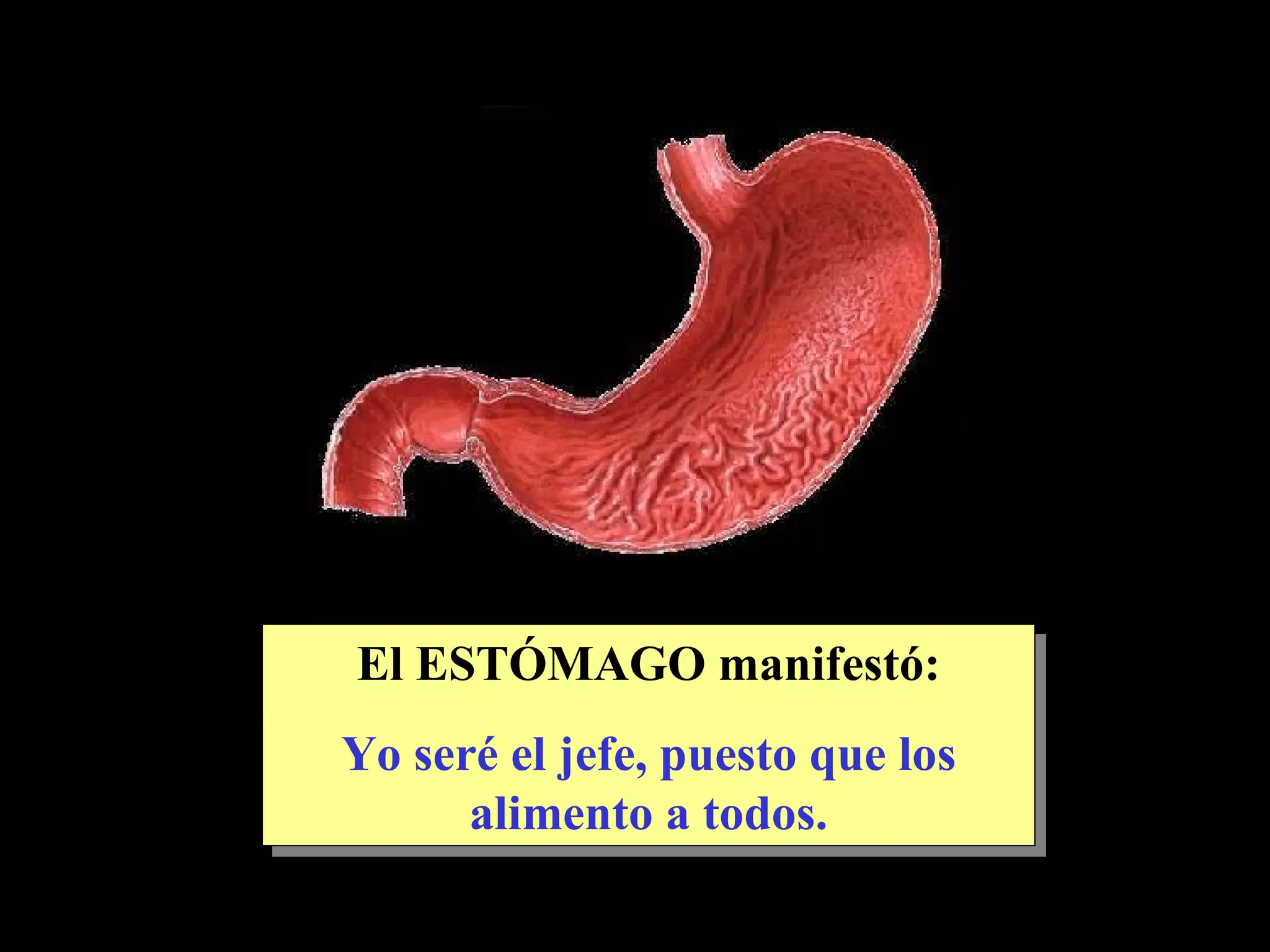 El ESTÓMAGO manifestó: Yo seré el jefe, puesto que los alimento a todos.