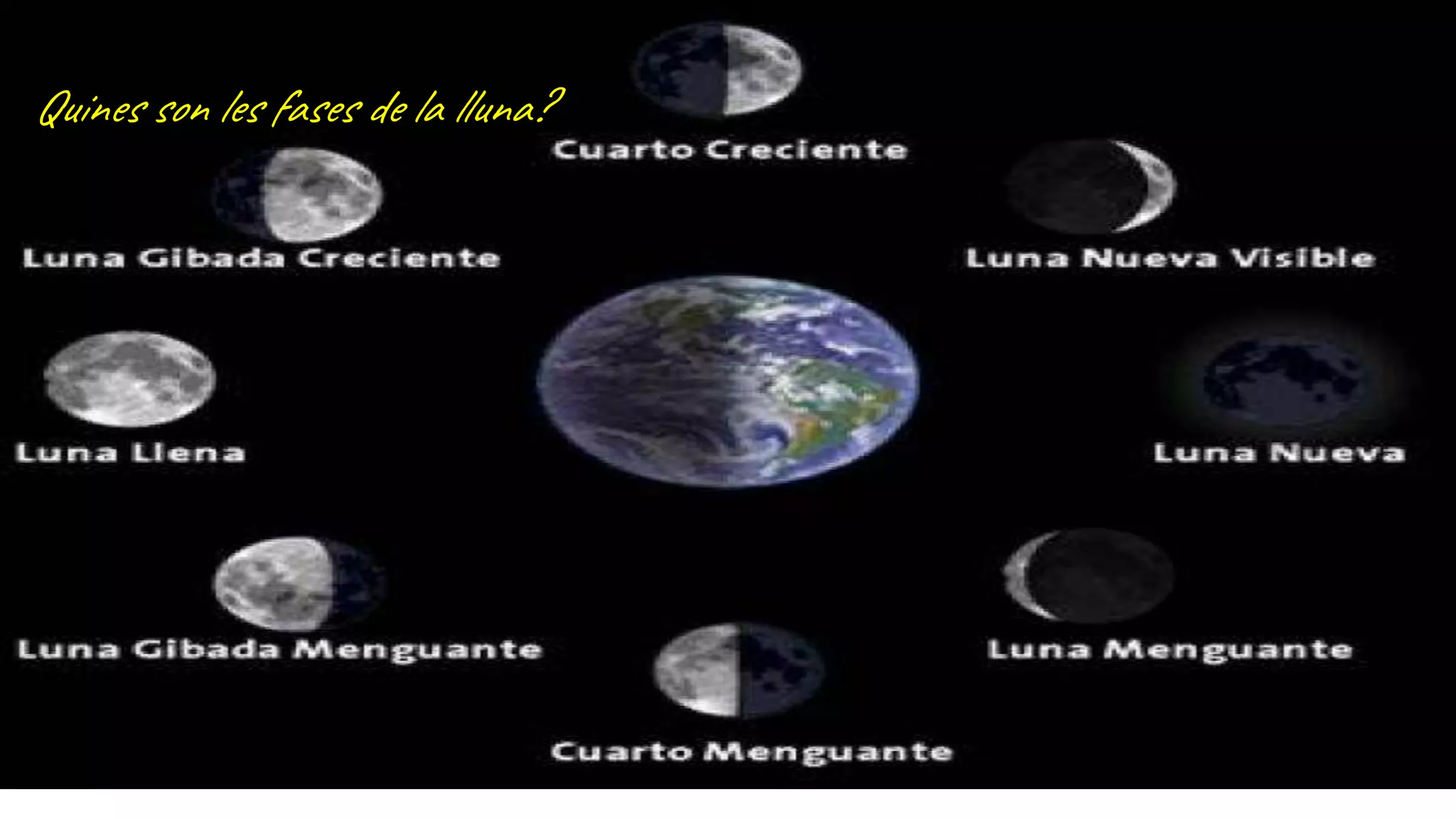 Quines son les fases de la lluna?