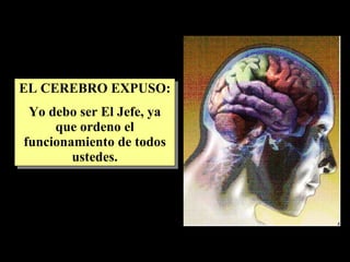 EL CEREBRO EXPUSO: Yo debo ser El Jefe, ya que ordeno el funcionamiento de todos ustedes. 