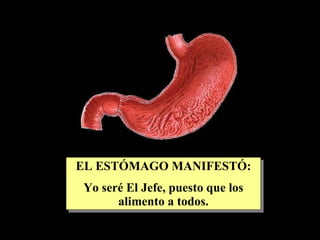EL ESTÓMAGO MANIFESTÓ: Yo seré El Jefe, puesto que los alimento a todos. 