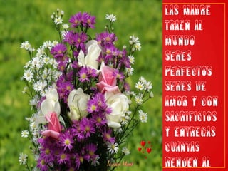 LAS MADRE TRAEN AL MUNDO SERES PERFECTOS SERES DE AMOR Y CON SACRIFICIOS Y ENTREGAS CUANTAS RENDEN AL CREADOR