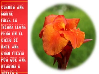 CUANDO UNA MADRE FALTA, LA TIERRA LLORA PERO EN EL CIELO SE HACE UNA GRAN FIESTA POR QUE UNA HEROÍNA A VUELTO A CASA