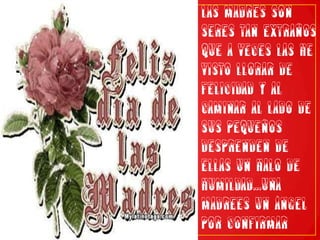 LAS MADRES SON SERES TAN EXTRAÑOS QUE A VECES LAS HE VISTO LLORAR DE FELICIDAD Y AL CAMINAR AL LADO DE SUS PEQUEÑOS DESPRENDEN DE ELLAS UN HALO DE HUMILDAD...UNA MADREES UN ÁNGEL POR CONFIRMAR