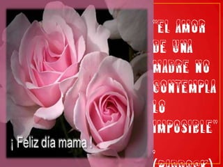 "El amor de una madre no contempla lo imposible", (Paddock).