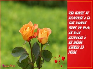 UNA MADRE SE DESCUBRE A LA VIDA CUANDO TIENE UN HIJO, UN HIJO DESCUBRE A SU MADRE CUANDO ES PADRE