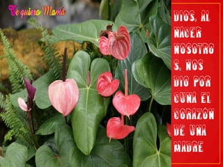 Dios, al nacer nosotros, nos dio por cuna el corazón de una madre