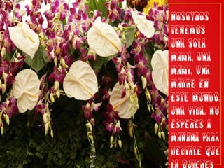 Nosotros tenemos una sola mamá, una mami, una madre en este mundo, una vida. No esperes a mañana para decirle que la quieres