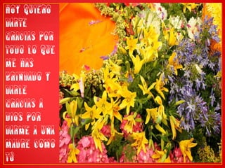 Hoy quiero darte gracias por todo lo que me has brindado y darle gracias a Dios por darme a una madre como tú