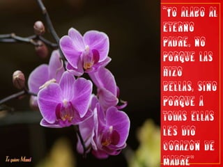 “Yo alabo al eterno Padre, no porque las hizo bellas, sino porque a todas ellas les dio corazón de madre"