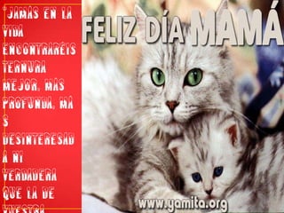 "Jamás en la vida encontraréis ternura mejor, más profunda, más desinteresada ni verdadera que la de vuestra madre"