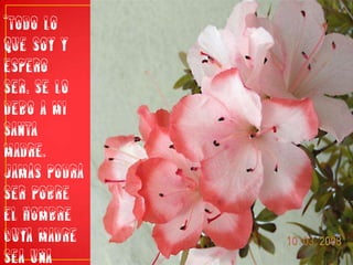 “Todo lo que soy y espero ser, se lo debo a mi santa madre. Jamás podrá ser pobre el hombre cuya madre sea una mujer de fe”