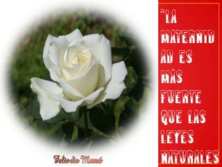 “La maternidad es más fuerte que las leyes naturales”