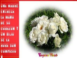 una madre entrega la mano de su corazon y un hijo se la roba son compasión