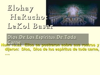 Elohay  HaRuchot  LeKol Basar Num 16:22  Ellos se postraron sobre sus rostros y dijeron:  Dios,  Dios de los espíritus de toda carne, …. Dios nos ha creado con dimensiones físicas y espirituales. Él clama soberanía sobre cuerpo , alma, espíritu . El es Padre de los espíritus hechos carne  (Los hijos de Dios) Dios De Los Espíritus De Toda Carne 