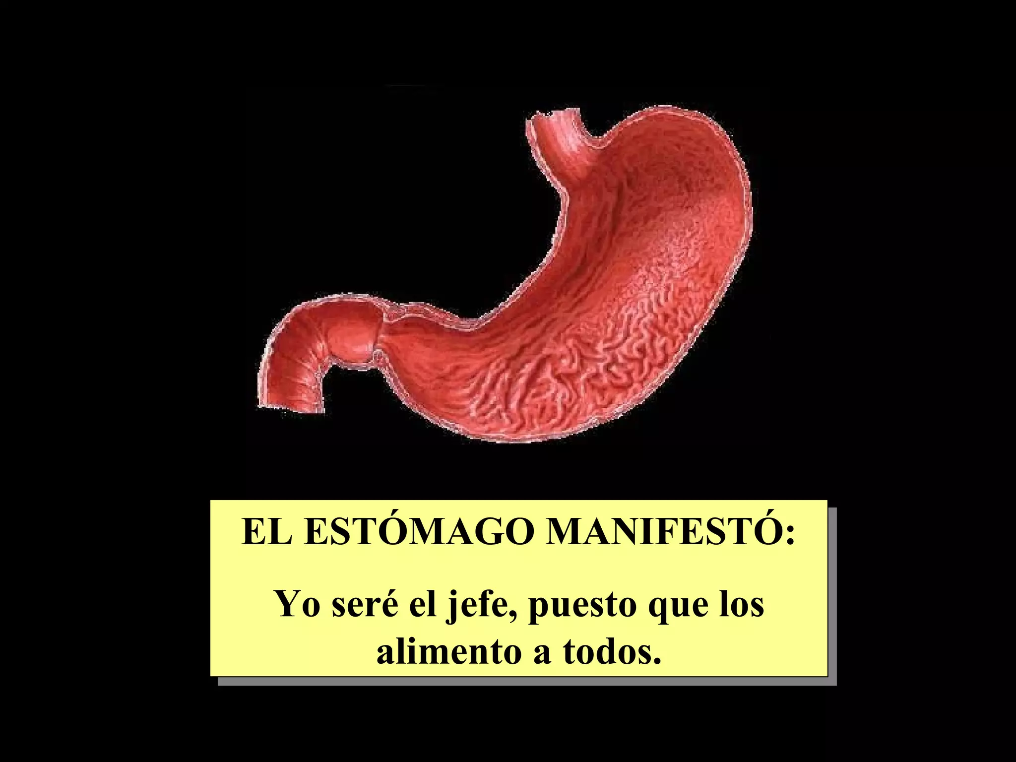 EL ESTÓMAGO MANIFESTÓ: Yo seré el jefe, puesto que los alimento a todos.