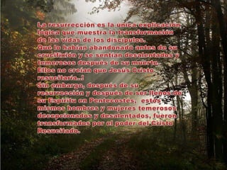 La resurrección es la única explicación lógica que muestra la transformación de las vidas de los discípulos. Que lo habían abandonado antes de su crucifixión y se sentían desalentados y temerosos después de su muerte. Ellos no creían que Jesús Cristo resucitaría..! Sin embargo, después de su resurrección y después de ser llenos de su Espíritu en Pentecostés,  estos mismos hombres y mujeres temerosos decepcionados y desalentados, fueron transformados por el poder del Cristo Resucitado. 