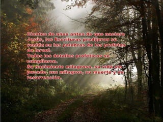 Cientos de años antes de que naciera Jesús, las Escrituras predijeron su venida en las palabras de los profetas de Israel. Todos los detalles proféticos se cumplieron.Su nacimiento milagroso, su vida sin pecado, sus milagros, su muerte y su resurrección.