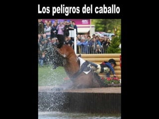 Los peligros del caballo 