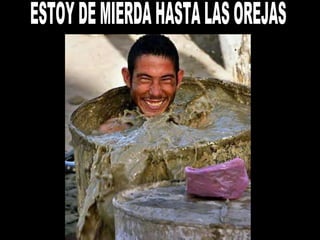 ESTOY DE MIERDA HASTA LAS OREJAS 