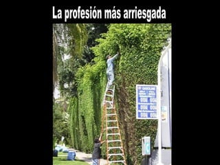 La profesión más arriesgada 