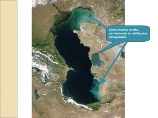 Quién nos alimentara en un planeta en crisis?
