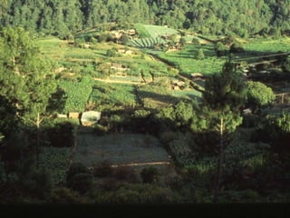 Quién nos alimentara en un planeta en crisis?