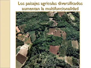 Quién nos alimentara en un planeta en crisis?