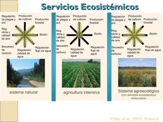 Quién nos alimentara en un planeta en crisis?