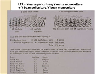 Quién nos alimentara en un planeta en crisis?
