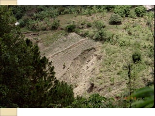 Quién nos alimentara en un planeta en crisis?