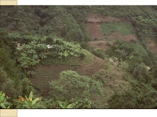 Quién nos alimentara en un planeta en crisis?