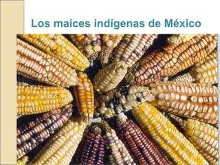 Quién nos alimentara en un planeta en crisis?