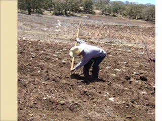 Quién nos alimentara en un planeta en crisis?