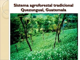 Quién nos alimentara en un planeta en crisis?